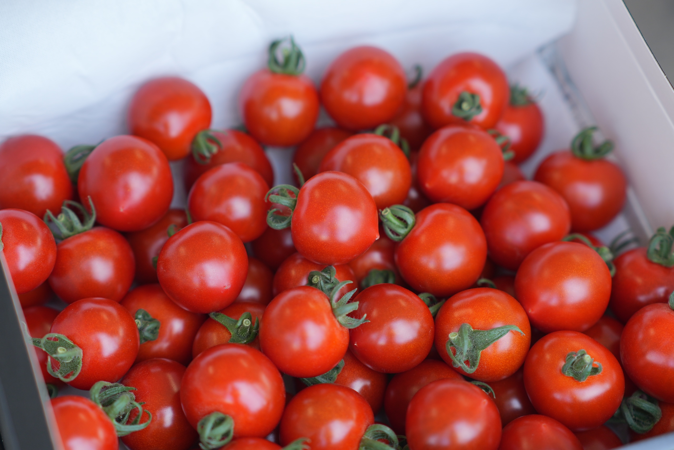 ほれまる（完熟ミニトマト）