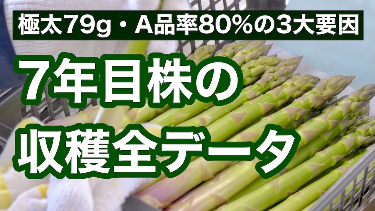 YouTubeおすすめ動画